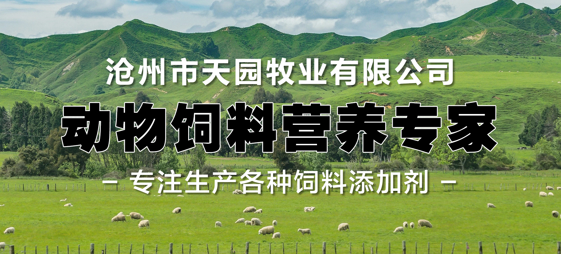 泰安市仁德化工有限公司